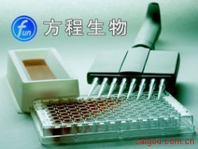 北京厂家小鼠血管内皮细胞生长因子BELISA kit酶免检测,小鼠Mouse VEGF-B试剂盒的最低价格-商机-北京方程生物科技