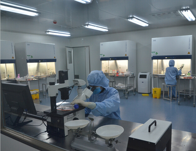 KB细胞系专业培养|CCL-17价格 产地:上海市张江高科技园区 品牌:ATCC、DSMZ、RIKEN等细胞库 厂家:上海汉福生物科技