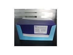 兔端粒酶检测试剂盒厂家/报价_供应产品_上海钰博生物科技